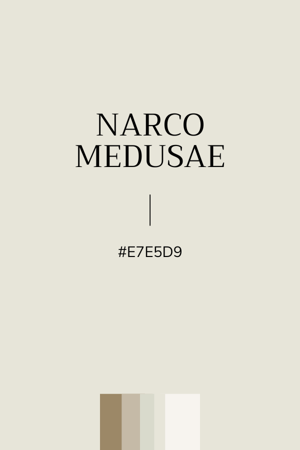 Couleur Beige #E7E5D9 Narcomedusae