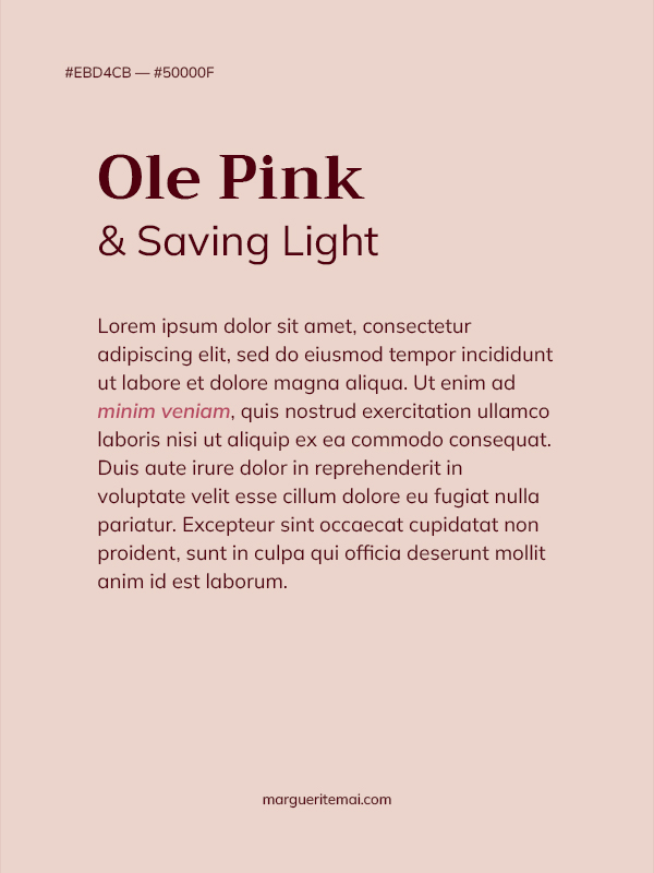 Couleurs roses et bordeaux pour le design d'un site web