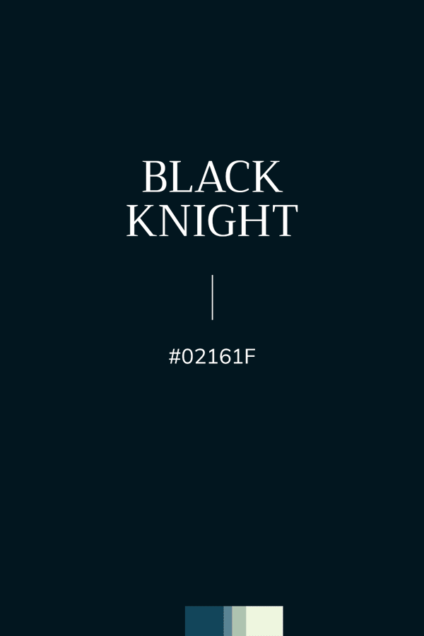 couleur Noir bleuté "Black Knight", Hexa #02161F