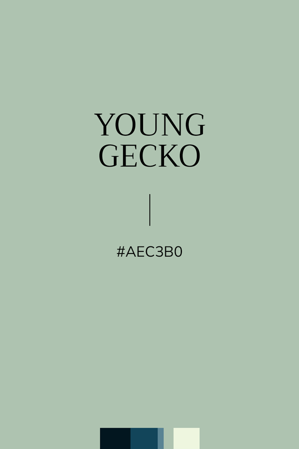 couleur vert glauque "Young Gecko", Hexa #AEC3B0