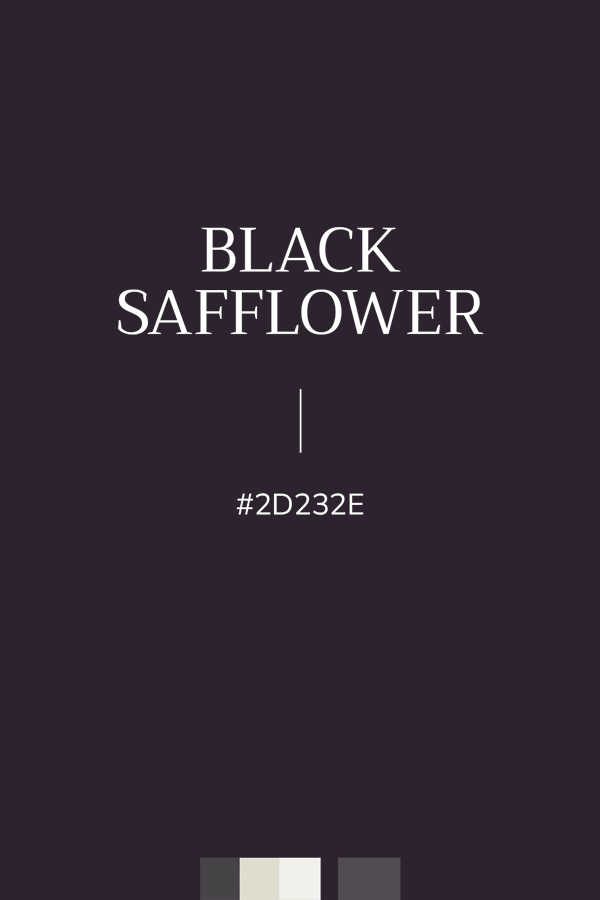 couleur noir raisin "Black Safflower", Hexa #2D232E
