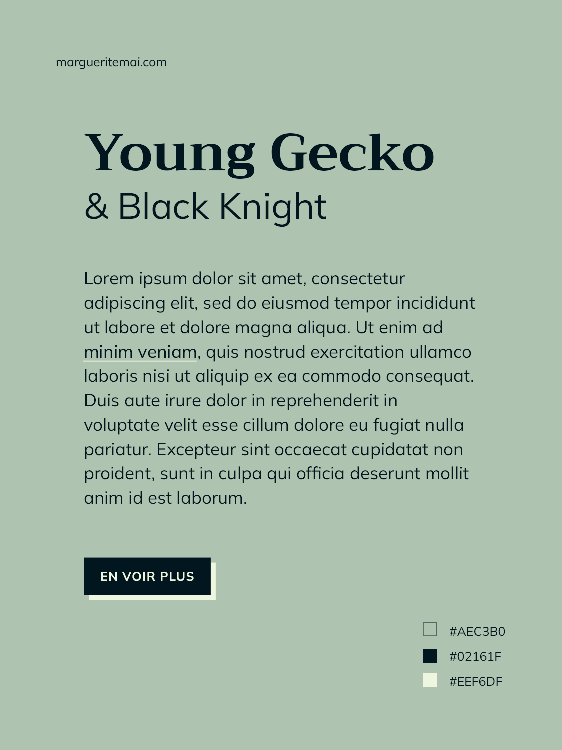 couleurs vert #AEC3B0 et noir riche #02161F pour le design d'un site web