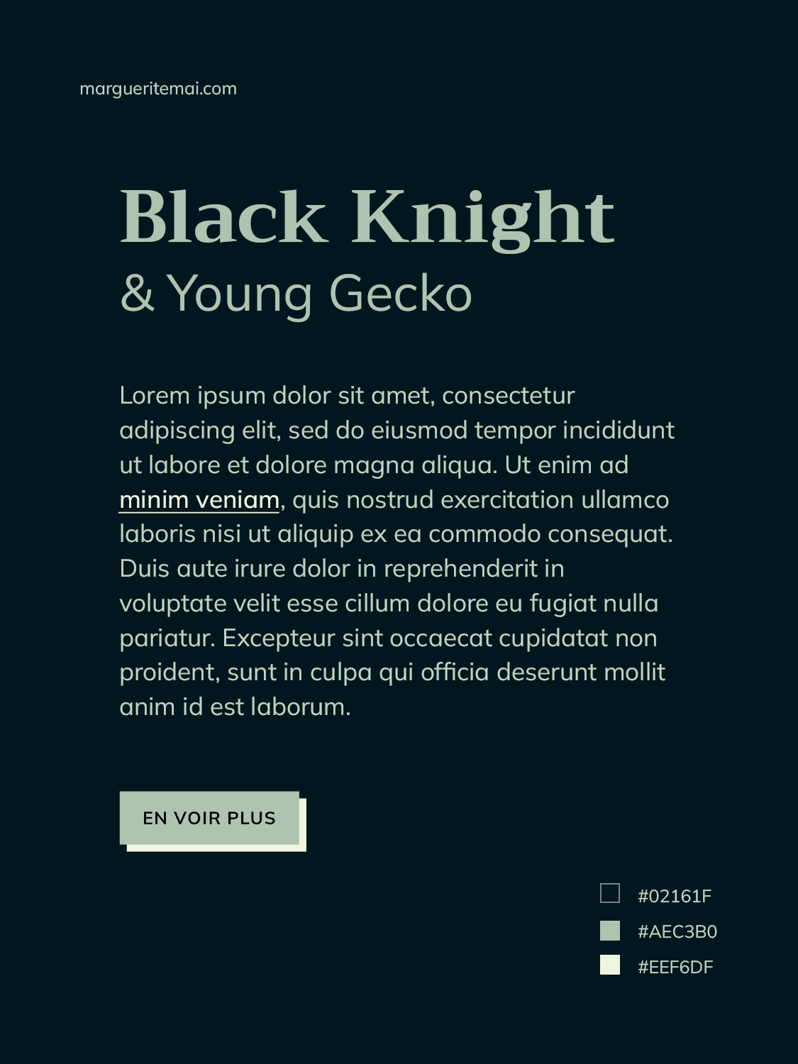 couleurs noir riche #02161F et vert #AEC3B0 pour le design d'un site web