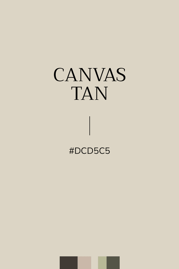 Couleur unie Grège #DCD5C5
