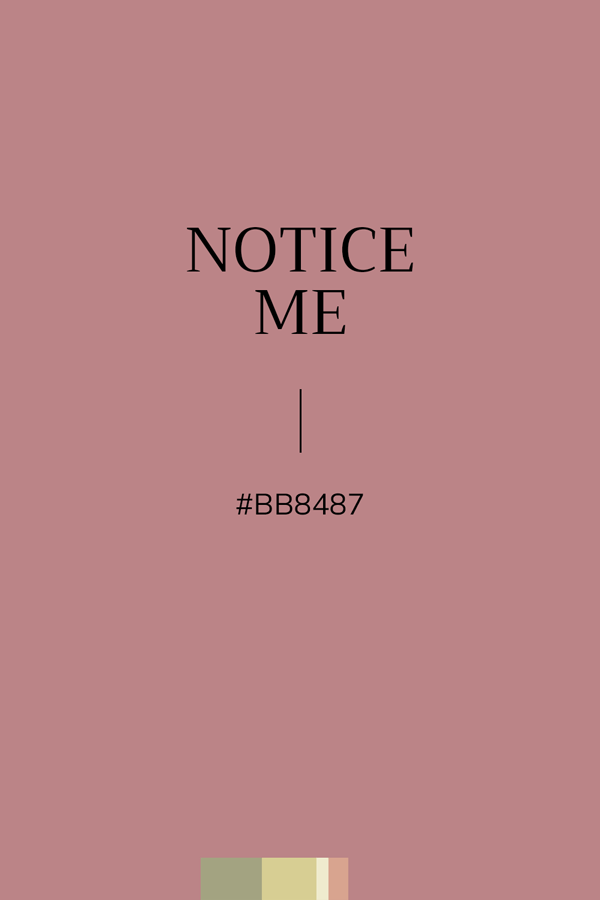 Couleur unie Vieux Rose #BB8487
