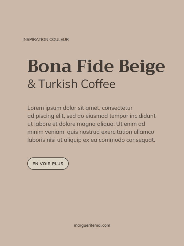 Exemple de combinaison de couleurs pour un site web, texte taupe #423B35 sur fond beige rosé #CBB8A9.