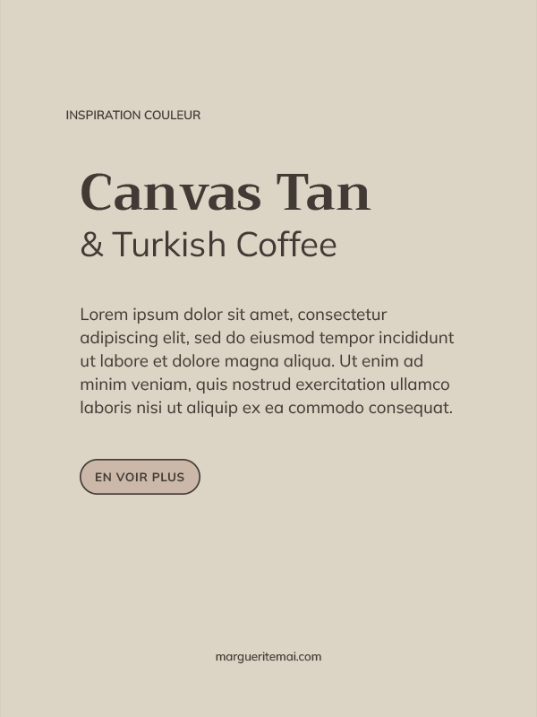 Exemple de combinaison de couleurs pour un site web, texte taupe #423B35 sur fond Grège #DCD5C5.