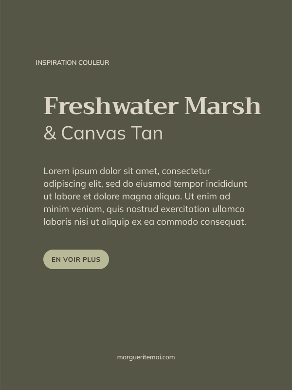 Exemple de combinaison de couleurs pour un site web, texte Grège #DCD5C5 sur fond Vert Kaki #555646