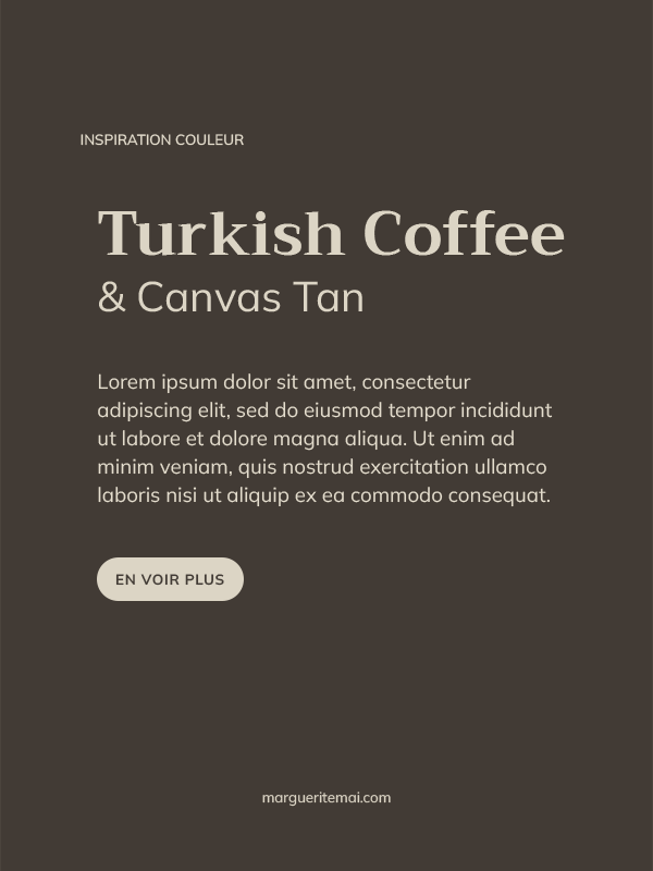 Exemple de combinaison de couleurs pour un site web, texte Grège #DCD5C5 sur fond Taupe #423B35