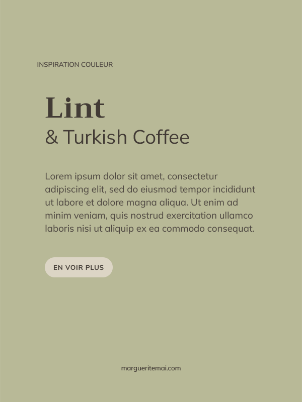 Exemple de combinaison de couleurs pour un site web, texte Taupe #423B35 sur fond Vert sauge #B8B997