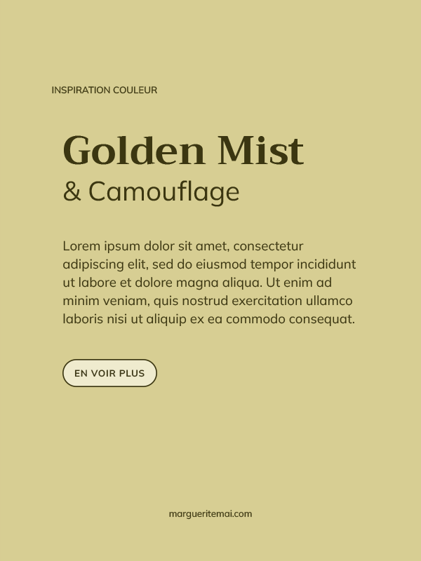 Exemple de combinaison de couleurs pour un site web, texte Kaki foncé #3B3611 sur fond Jaune Or #D7CE93