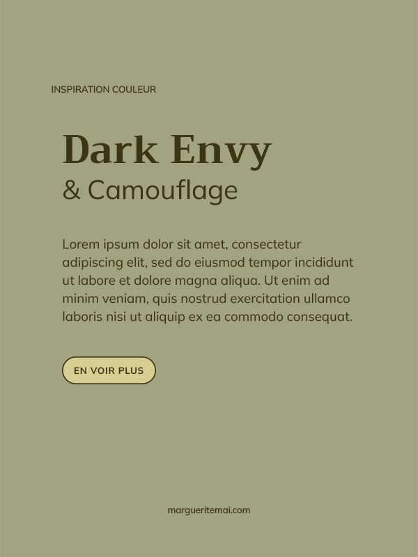 Exemple de combinaison de couleurs pour un site web, texte Kaki foncé #3B3611 sur fond Kaki #A3A381