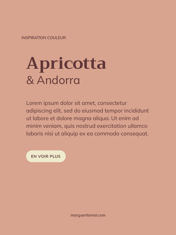 Exemple de combinaison de couleurs pour un site web, texte terracotta foncé #5F3537 sur fond Terracotta clair #D8A48F