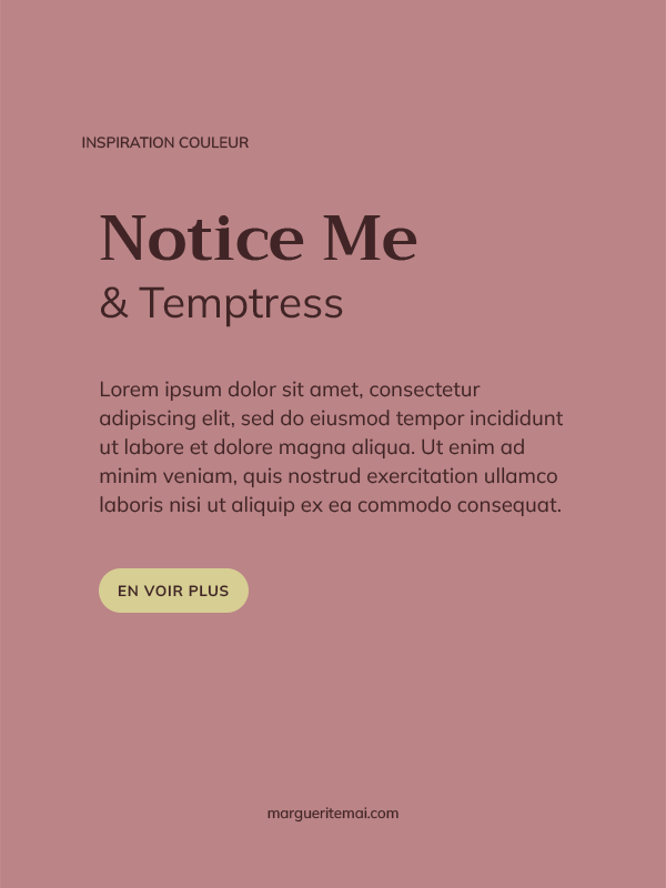 Exemple de combinaison de couleurs pour un site web, texte marron foncé #412526 sur fond Vieux Rose #BB8487