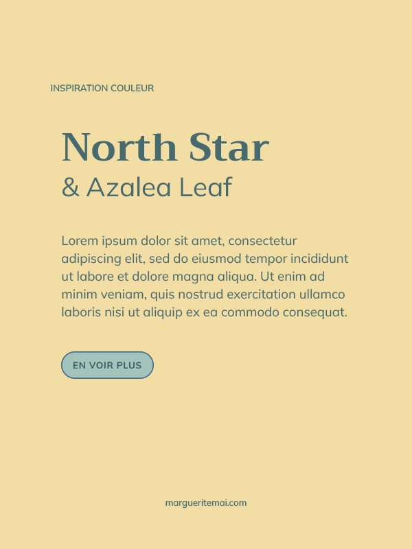 Exemple de combinaison de couleurs pour un site web, texte Vert Sarcelle #476A6E sur fond Jaune pâle #F2DDA4
