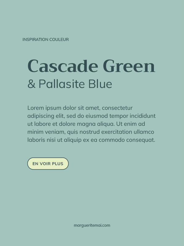 Exemple de combinaison de couleurs pour un site web, texte Vert sarcelle #344E51 sur fond Vert d’Eau #A3C4BD
