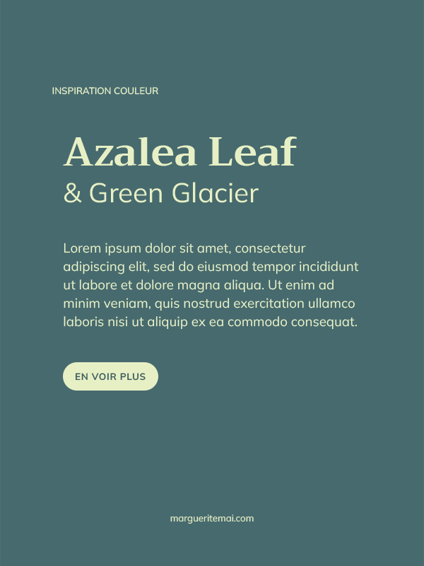 Exemple de combinaison de couleurs pour un site web, texte Vert pâle #E7F0C5 sur fond Vert Sarcelle #476A6E