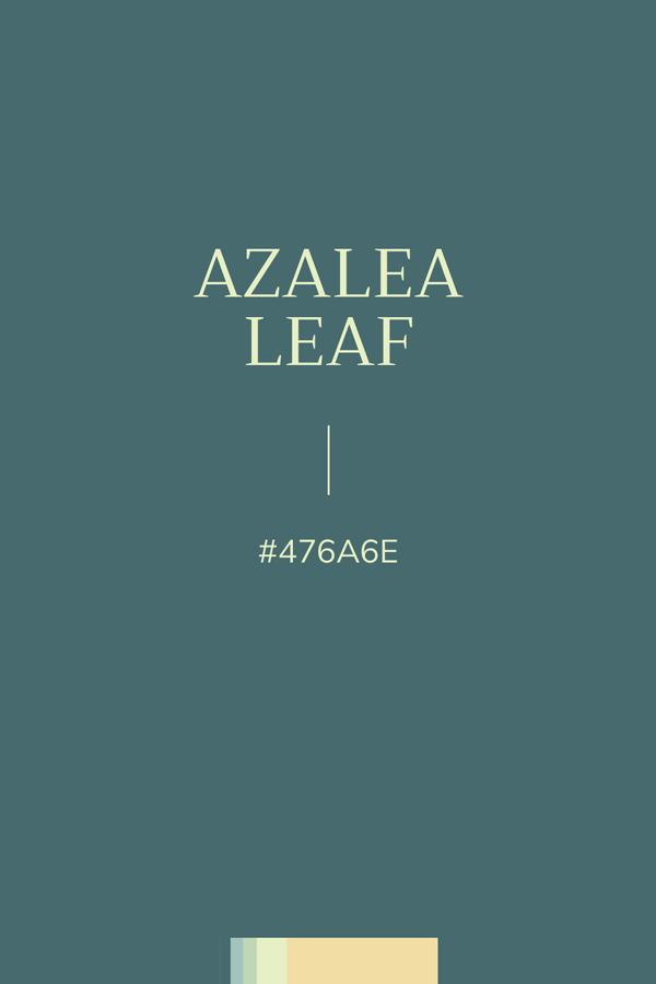 Couleur unie Vert Sarcelle #476A6E