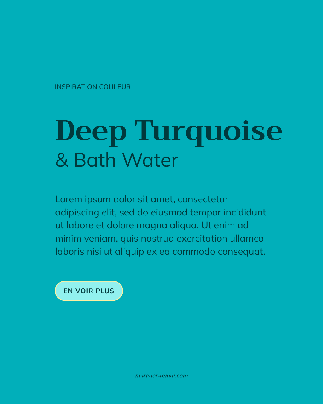 Exemple de combinaison de couleurs pour un site web, texte Vert foncé #01393C sur fond Bleu Lagon #01AFBA