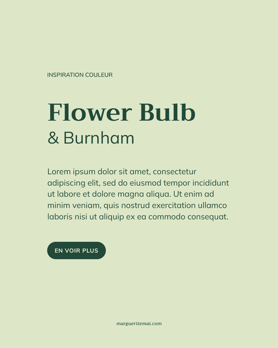 Association de couleurs pour un site web, texte Vert foncé #22493A sur fond Vert Tilleul #DDE7C7