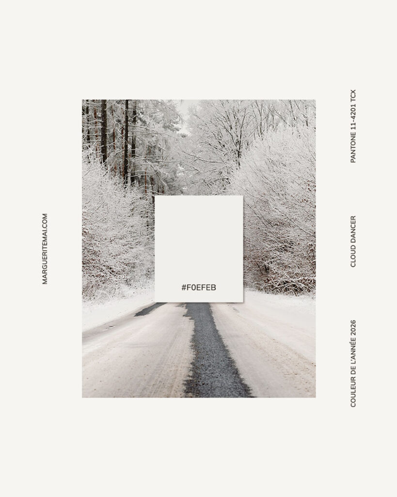 Carte de la couleur Pantone de l'année 2026 "Cloud Dancer" posée sur une photo d'une forêt sous la neige