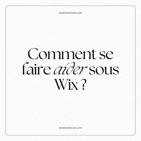 Couverture de l'article : Comment se faire aider sous Wix (en toute sécurité) ?