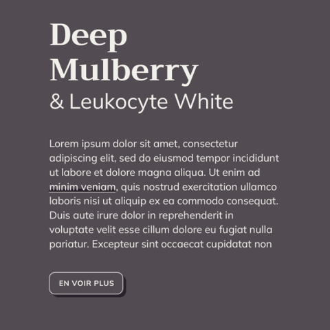 Couverture de l'article Couleurs Site Web — 009. Couleurs Beiges & Gris