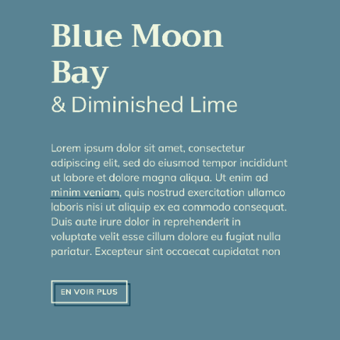Couverture de l'article Couleurs Site Web — 008. Couleurs Bleu & Vert