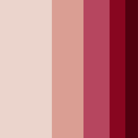 Palette de couleurs Vieux Rose